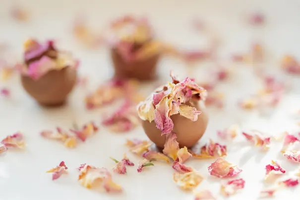 Casino Chilli Spins Android/iOS aplikacija